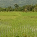 jrn_6025