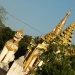 2010_01_03___16_34_47