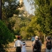 2010_01_03___16_53_10