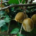 2011_03_06__11_07_53