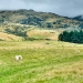 2011_03_11__14_25_29_enhancer-panorama