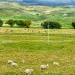 2011_03_11__16_49_19_enhancer-panorama