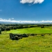 2011_03_12__14_40_35_enhancer-panorama