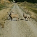 2011_03_13__10_42_00
