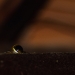 2013_07_09__18_49_19