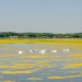 2020_08_26__11_52_09